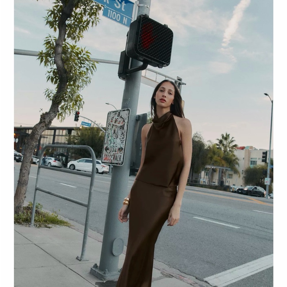 ZARA Satin Midi Skirt (Brown)